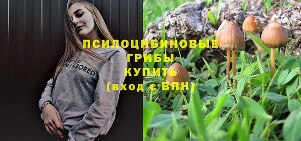 синтетический гашиш Алексин