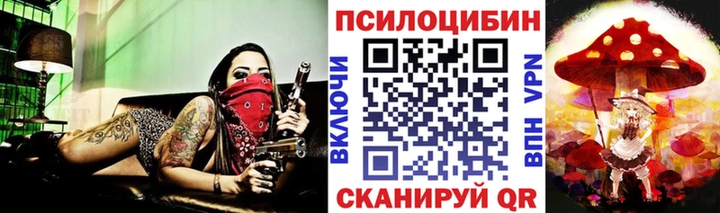 Псилоцибиновые грибы MAGIC MUSHROOMS  где можно купить   Кола 